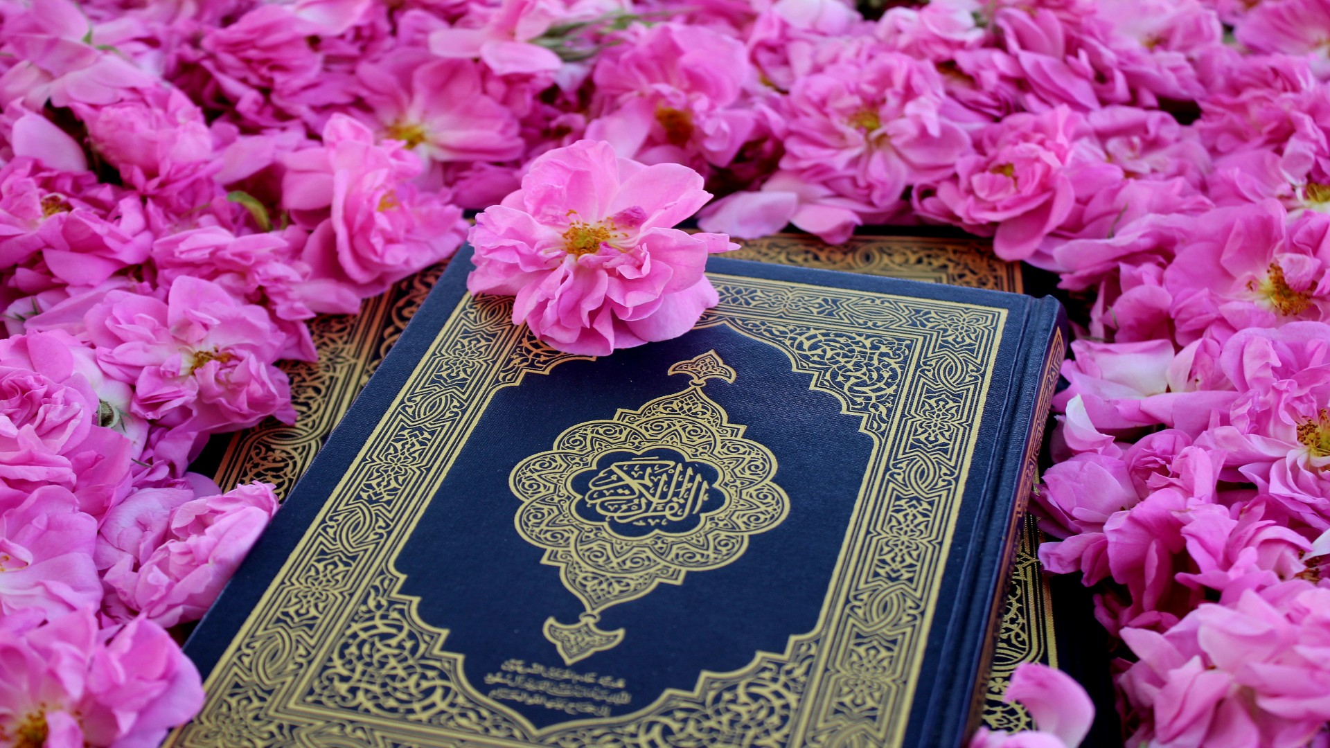 Why Muslim Women Keep Returning to Craft Nights, Book Swaps, and Slow Hobbies