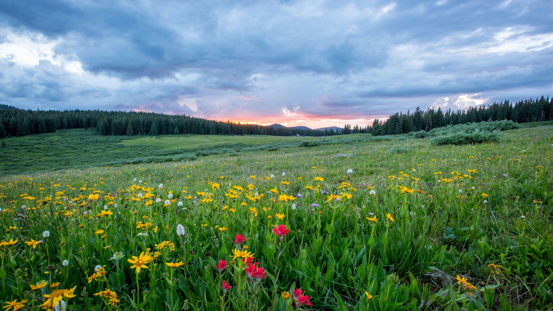 Explaining Eid al-Adha to Kids: A Simple Story + Phrases They Can Use