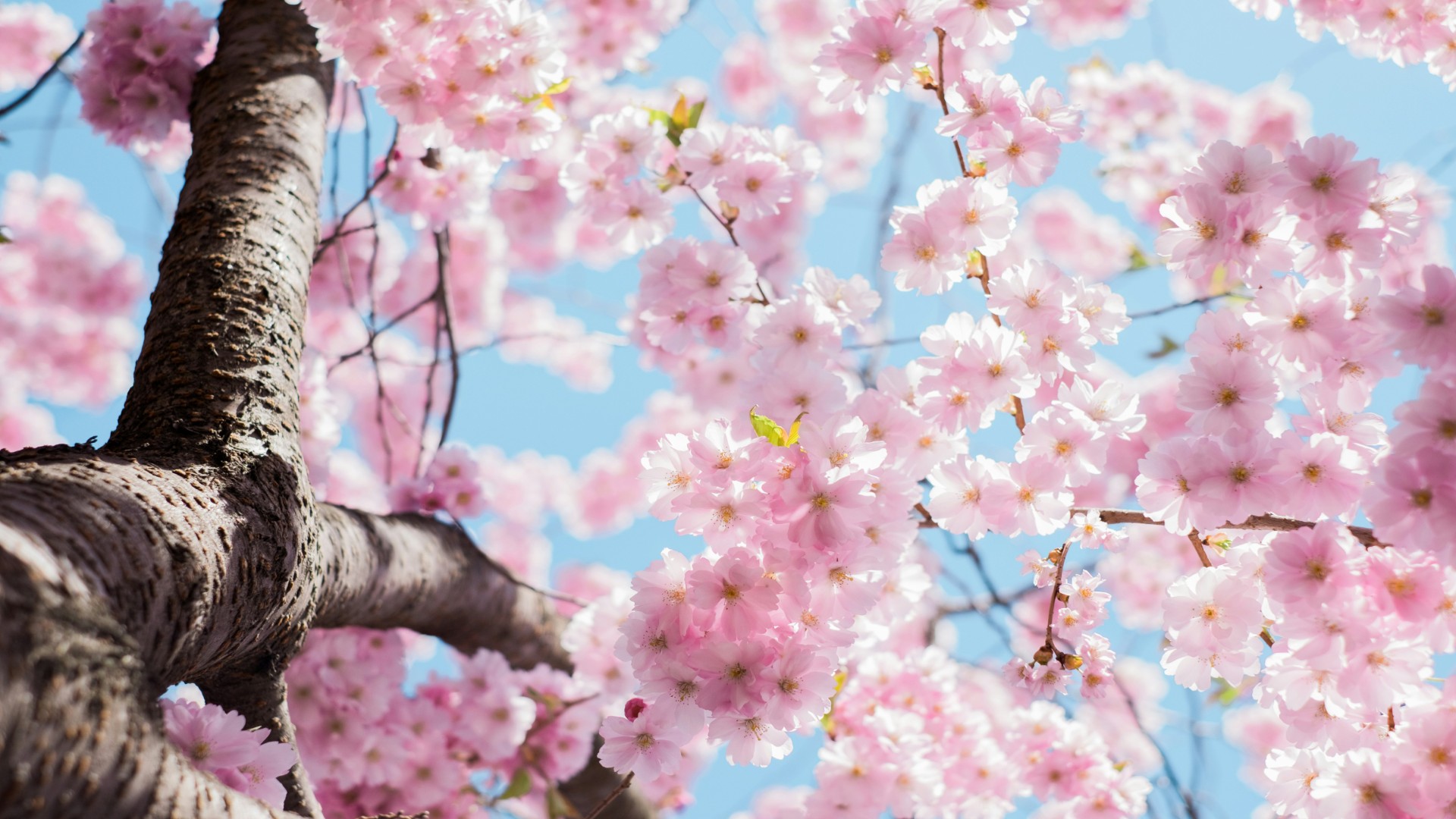 The Best Article Structure for Family-Focused Islamic Content